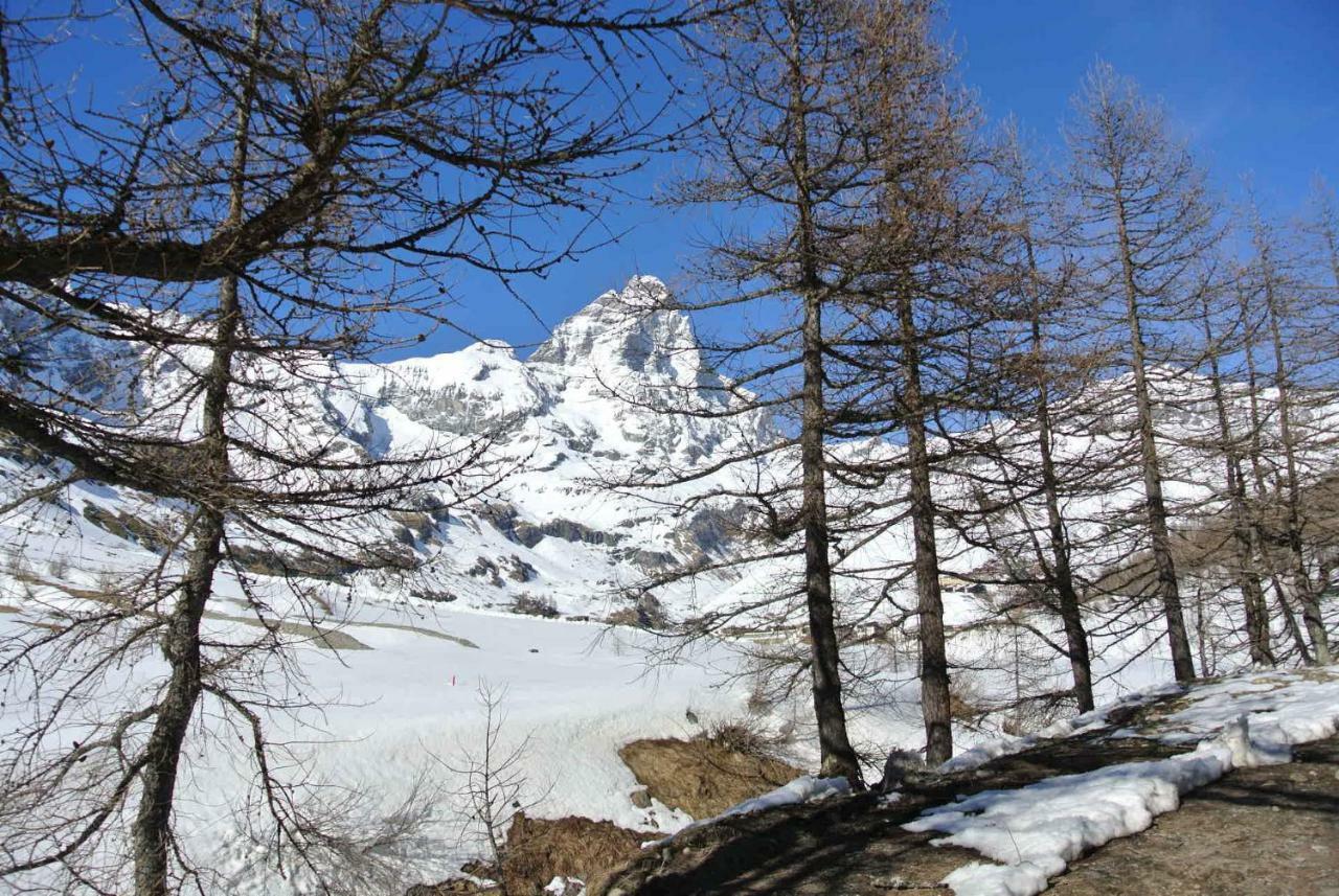 Complesso I DADI - Residence Cielo Alto Breuil-Cervinia Exterior foto